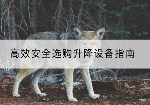 阿荣旗升降货梯厂家推荐-*安全选购升降设备指南