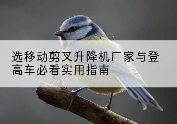 阿荣旗电动升降机厂家-选移动剪叉升降机厂家与登高车必看实用指南
