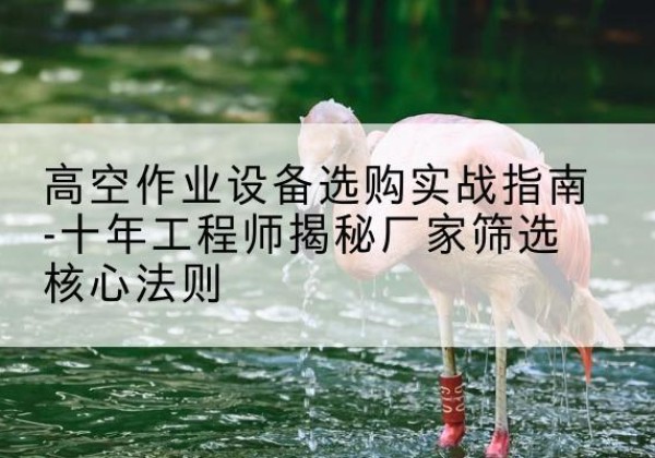 阿荣旗剪叉式升降机厂家-高空作业设备选购实战指南-十年工程师揭秘厂家筛选核心法则