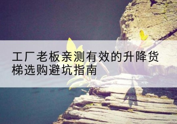 阿荣旗升降货梯怎么选-工厂老板亲测有效的升降货梯选购避坑指南